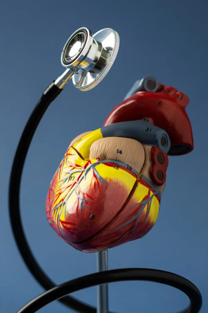 Cardiovascular2